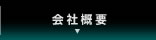 ЊTv