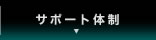 T|[g̐